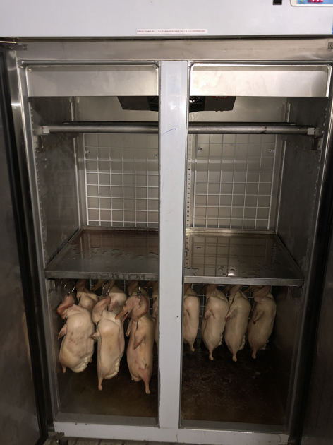 特殊訂製冰櫃-2 2